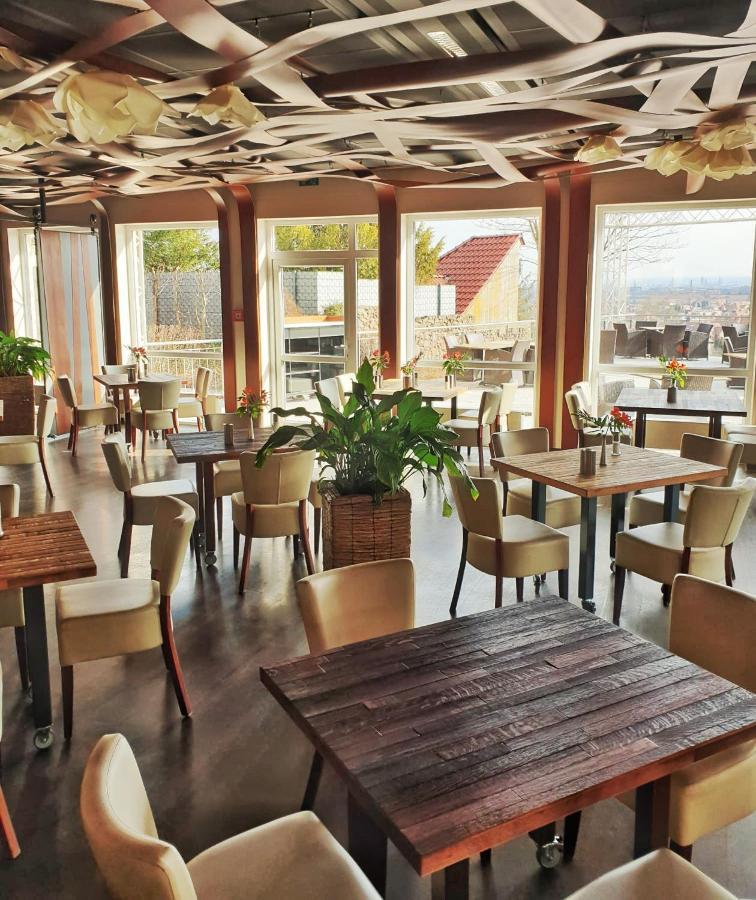 Bergwirtschaft Wilder Mann Hotel Und Restaurant ドレスデン エクステリア 写真